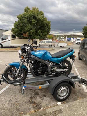 suzuki.jpg